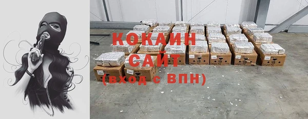 прущие грибы Медвежьегорск