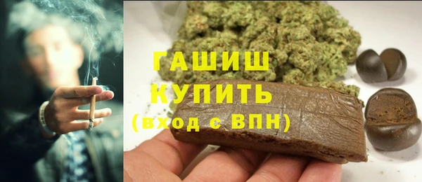 прущие грибы Медвежьегорск