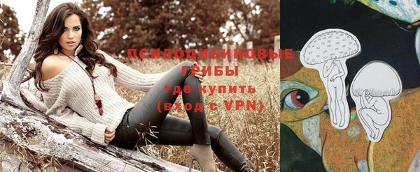 спиды Майский