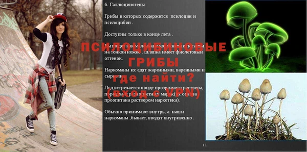 СК Магас