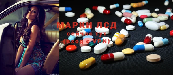 СК Магас