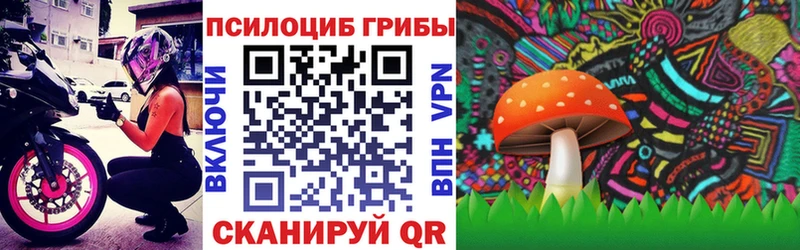 OMG онион  Новочеркасск  Галлюциногенные грибы Cubensis 