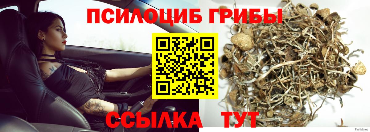 Псилоцибиновые грибы мухоморы Новочеркасск