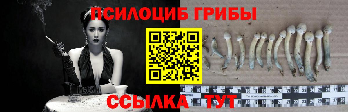 Новочеркасск  Псилоцибиновые грибы Magic Shrooms  Вход с VPN 
